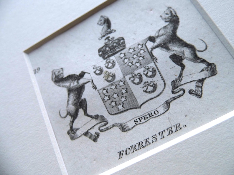 Antique Scottish heraldry engraving 1834 mounted print family coat of arms FORRESTER