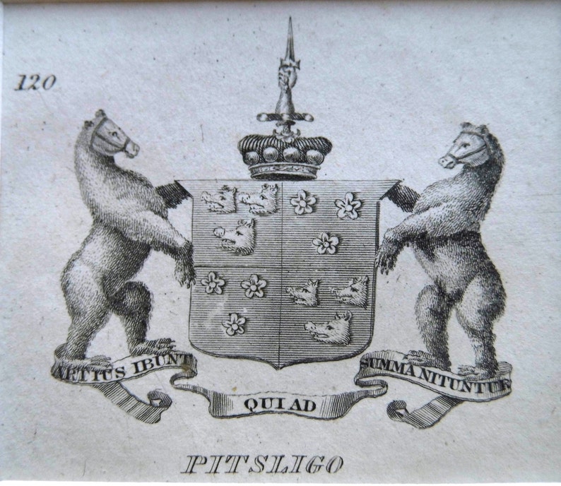 PITSLIGO Antique Scottish heraldry engraving 1834 mounted print family coat of arms