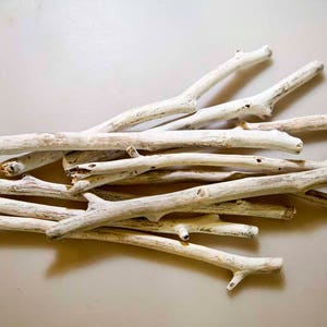 10 pieces of Driftwood