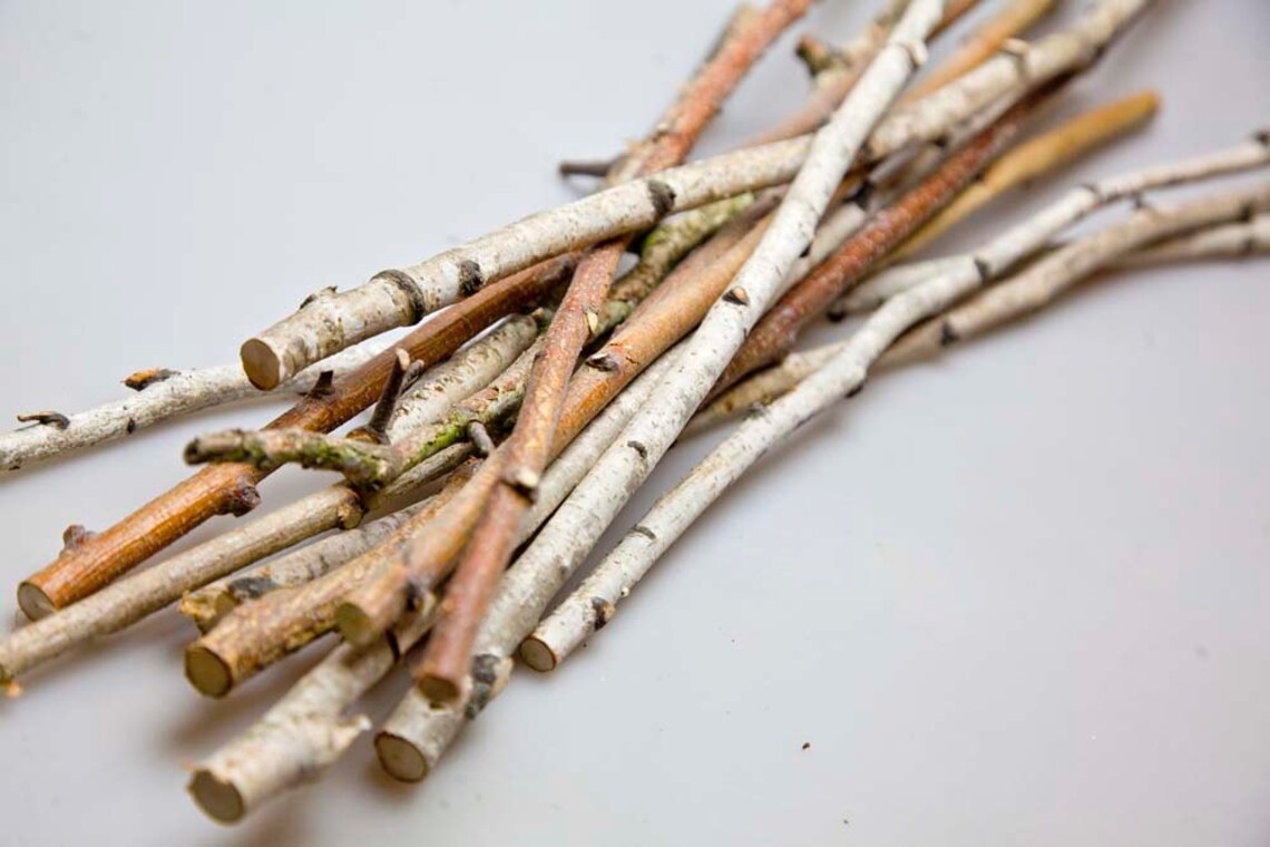 30 Birch Sticks 20 Inches Long White Birch Branches. Birch Etsy