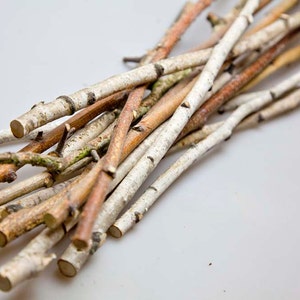 30 Birch sticks 20 inches long, White Birch Branches. Birch Wood Logs. . Decorative Birch Wood. Birch sticks for handmade image 1