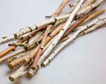 May include: A bundle of natural birch twigs, some with a light brown bark, arranged on a white surface.