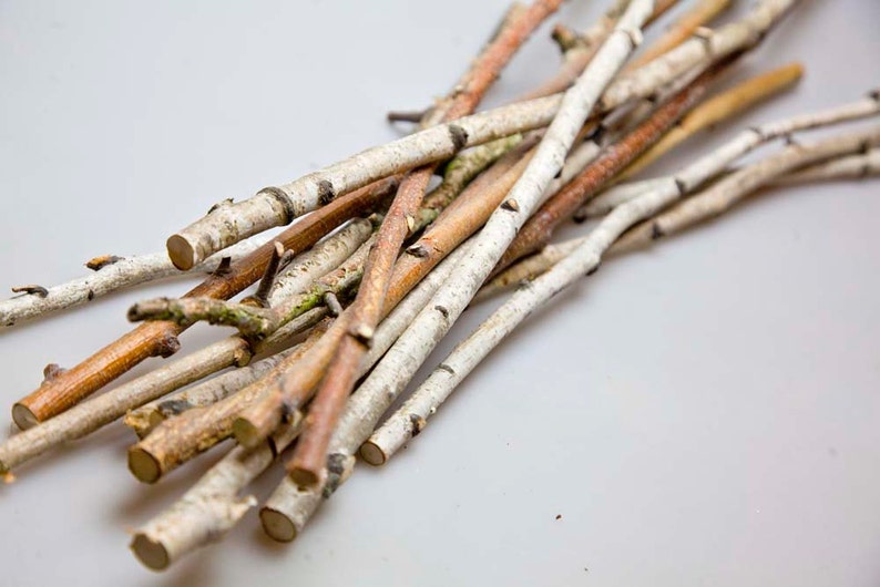 30 Birch sticks 20 inches long, White Birch Branches. Birch Wood Logs. . Decorative Birch Wood. Birch sticks for handmade image 1