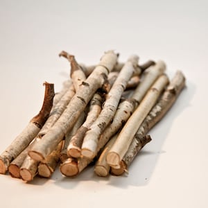 30 Birch sticks, White Birch Branches. Birch Wood Logs. . Decorative Birch Wood. Birch sticks for handmade