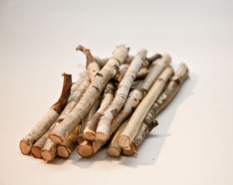 May include: A pile of natural birch sticks, perfect for crafting or decorating. The sticks are various lengths and have a light brown color with white bark.