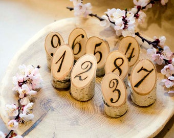 Natural Birch Woodburned Table Numbers Wooden Table Numbers- -10 Wedding Table Numbers - Rustic Table Decor -  - Wedding Reception Decor