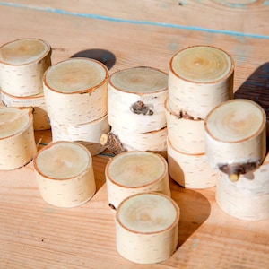 16 Birch sticks for handmade-White Birch Slices -Natural Handcut and Sanded Wood Rounds-White Birch Branches