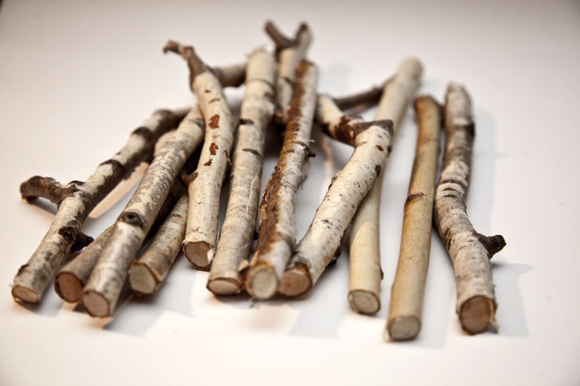 10 Birch sticks 20 inches long/White Birch Branches. Birch Etsy