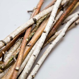 30 Birch sticks 20 inches long, White Birch Branches. Birch Wood Logs. . Decorative Birch Wood. Birch sticks for handmade image 2