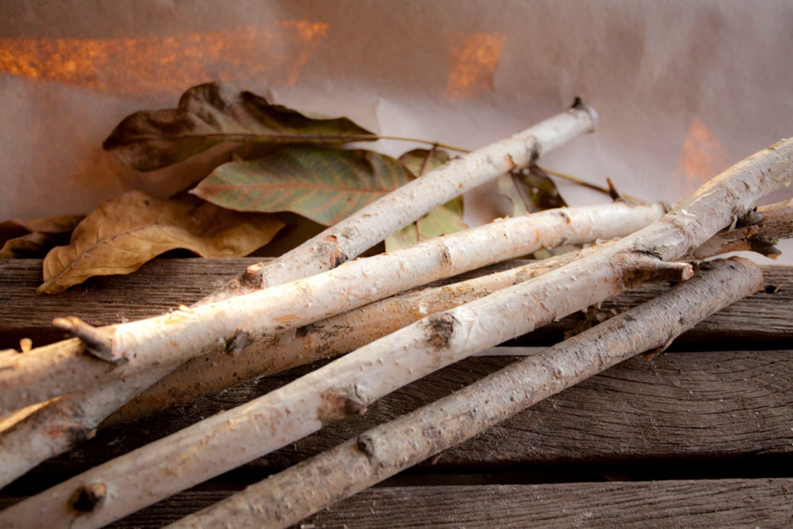 6 Birch Sticks20 Inches Long. White Birch Branches. Birch Etsy