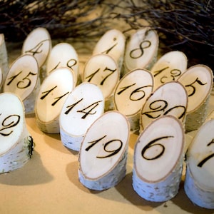 30 Natural Birch Woodburned Table Numbers Wooden Table Numbers- 30 Wedding Table Numbers - Rustic Table Decor -  - Wedding Reception Decor