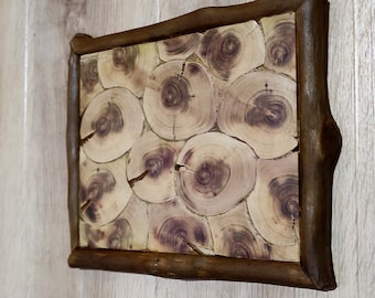 Rustic wall sculpture sliced wood art,Wood wall mosaic,Tree Slices on Clear Panel/ Sliced Wood Art, Wood sculpture wall art