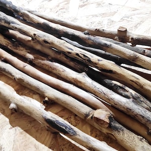 10 pieces of Driftwood