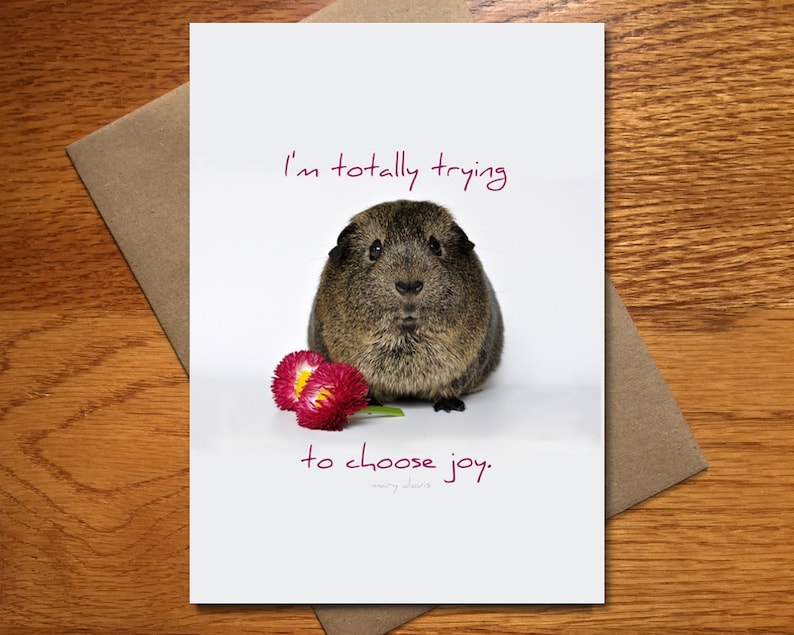 Choose Joy Card Every Day Spirit Friend Encouragement Card Funny Card Animal Card 5x7