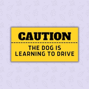 Let op: de hond leert autorijden | Bumpersticker | Gen Z-humor | Grappige sticker | Autosticker:
