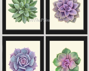 Succulent Wall Art Etsy