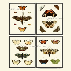 Butterfly Prints Set of 4 Beautiful Antique Vintage Butterflies Illustration Picture Watercolor Green Nature Home Wall Decor Unframed CR