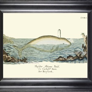 クジラのアートプリント（フレーム付き） クジラアートプリント 3 4x6 5x7 8x10 11x14 美しいアンティーク 海洋
