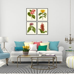 Botanical Print Set of 4 Wall Art Prints Beautiful Antique Tropical ...