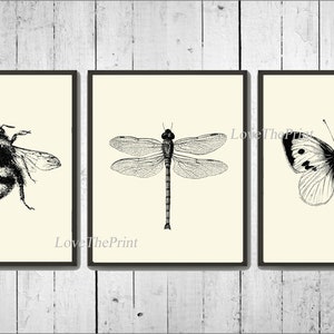 Bee Dragonfly Butterfly Print Wall Art Set of 3 Beautiful Vintage Illustration Drawing Black and White Garden Cottage Home Decor to Frame