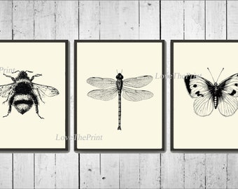 Bee Dragonfly Butterfly Print Wall Art Set of 3 Beautiful Vintage Illustration Drawing Black and White Garden Cottage Home Decor to Frame