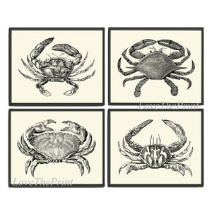 Crab Print Set of 4 Beautiful Antique Vintage Crabs Sea Ocean Beach Cottage Nature Home Bedroom Living Room Hallway Room Wall Decor to Frame