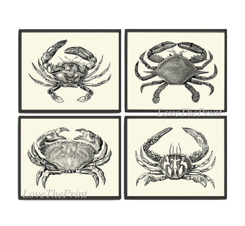 Crab Print Set of 4 Beautiful Antique Vintage Crabs Sea Ocean Beach Cottage Nature Home Bedroom Living Room Hallway Room Wall Decor to Frame image 1