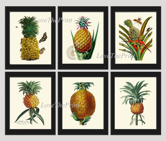 Pineapple Wall Art Print Set of 6 Beautiful Colorful Tropical Red