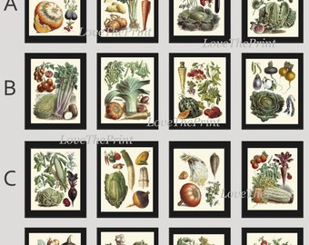 May include: A collection of framed botanical prints featuring various vegetables. Each print showcases detailed illustrations of different produce, including pumpkins, carrots, and cabbage, with a vintage aesthetic. The prints are arranged in a grid pattern.