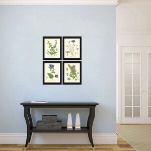 Blue Flowers Botanical Print Wall Art Set of 4 Prints Beautiful Antique ...