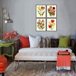 Tulip Flowers Wall Art Print Set of 4 Antique Watercolor Drawing ...