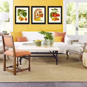 Tomato Print Set of 3 Beautiful Antique Vintage Red Yellow Green Colorful Vegetables Heirloom Garden Nature Illustration Home Wall Decor IH image 4