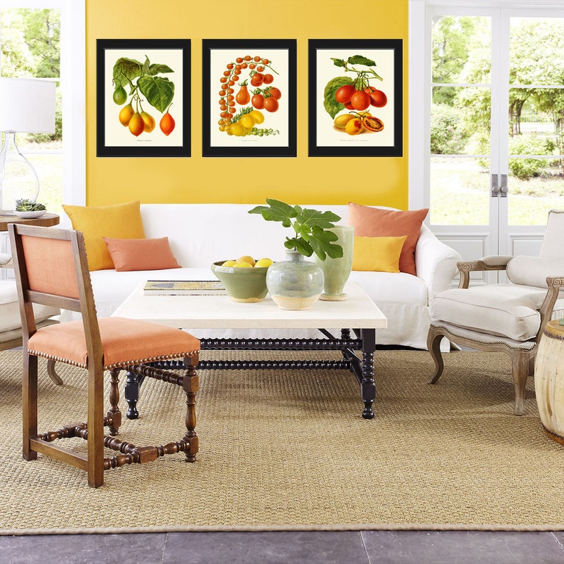 Tomato Print Set of 3 Beautiful Antique Vintage Red Yellow Green Colorful Vegetables Heirloom Garden Nature Illustration Home Wall Decor IH image 4