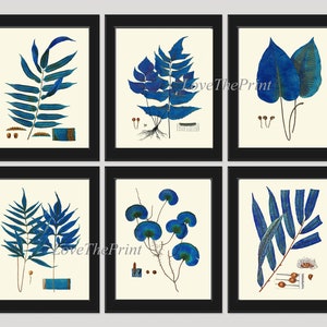 Blue Fern Botanical Wall Art PRINT SET de 6 impresiones hermoso dormitorio living dining office hallway interior Home Decor Decoration to Frame HW