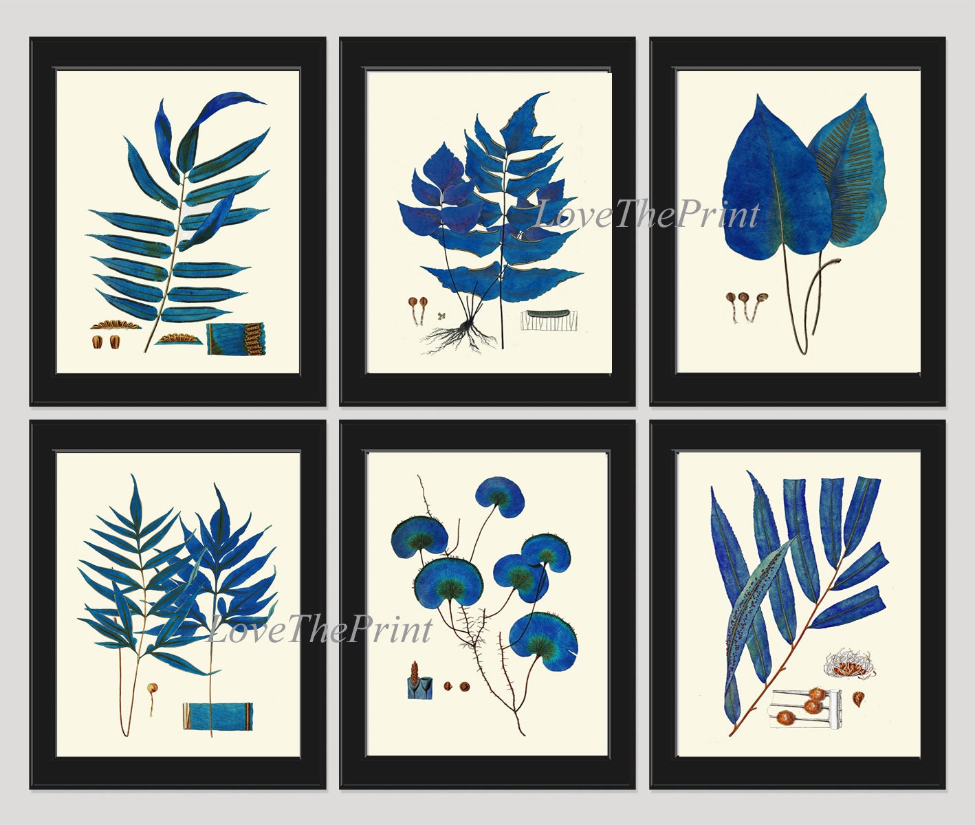 Blue Fern Botanical Wall Art PRINT SET of 6 Prints Beautiful Bedroom ...