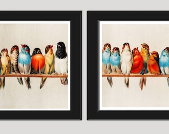 A Perch of Birds Print Set of 2 Beautiful Antique Vintage Red Blue Colorful Bird Nature Illustration Picture Home Wall Decor to Frame CLR