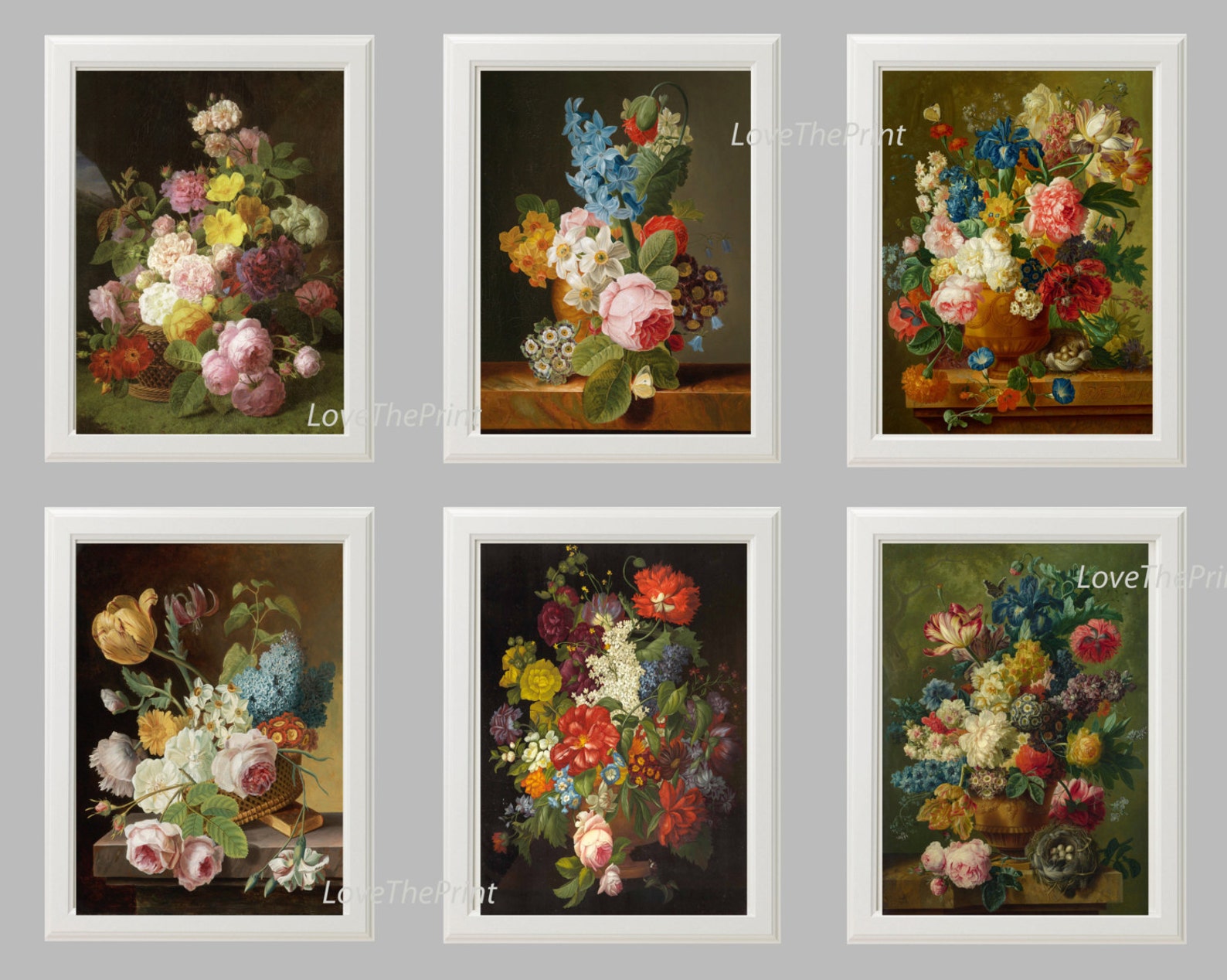 Flower Print SET of 6 Botanical Art Print 8X10 JFD Antique Pink Roses ...