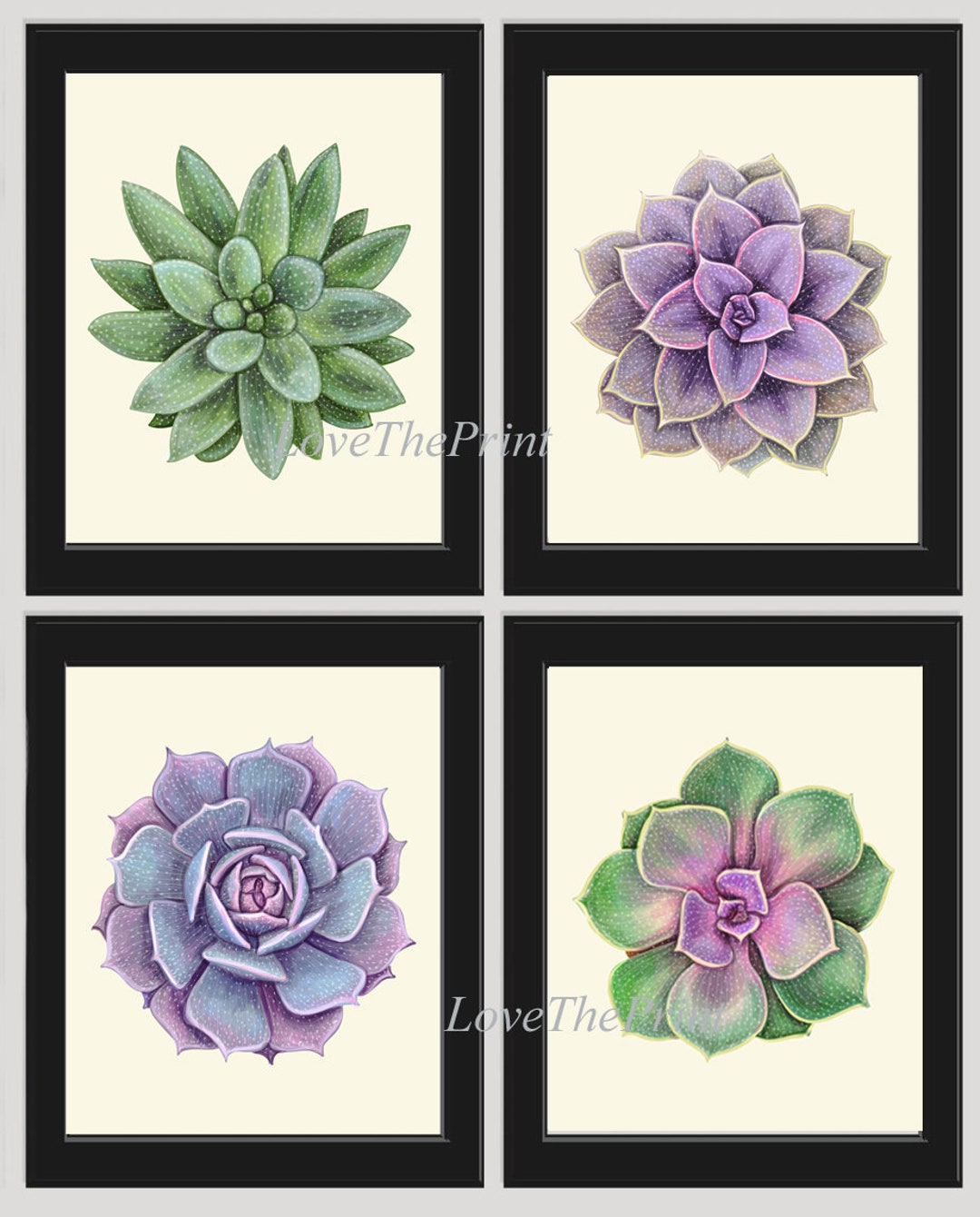 Succulent Wall Art Print Set of 4 Beautiful Watercolor Drawing Picture ...