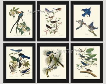 Puede incluir: Seis grabados de aves vintage enmarcados. Cada grabado presenta una especie de ave diferente en su hábitat natural, con ilustraciones detalladas de las aves, plantas y flores. Los marcos son negros y el fondo es crema.