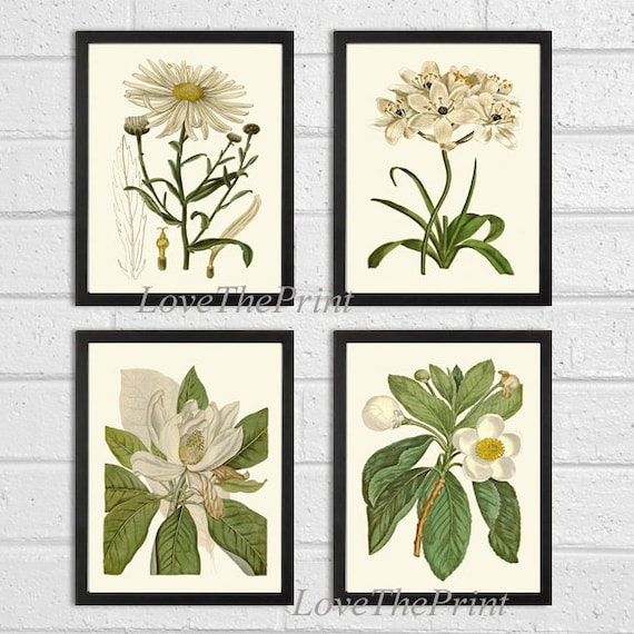 White Flowers Botanical Print Wall Art Set of 4 Beautiful | Etsy