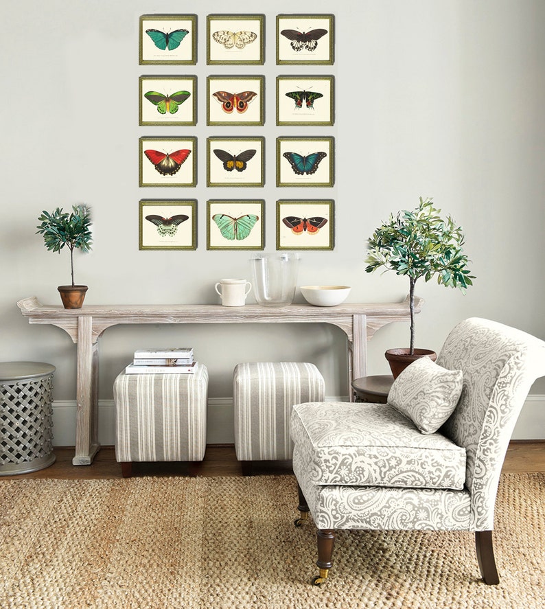 Antique Butterfly Print 34 Beautiful Wall Art Large Butterflies Garden ...