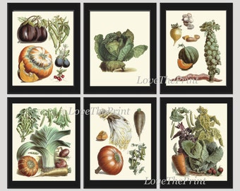 Vegetable Print Set of 6 Wall Art Beautiful Antique French Garden Colorful Kitchen Dining Room Decor Eggplant Salad Brussels Sprout Cabbage