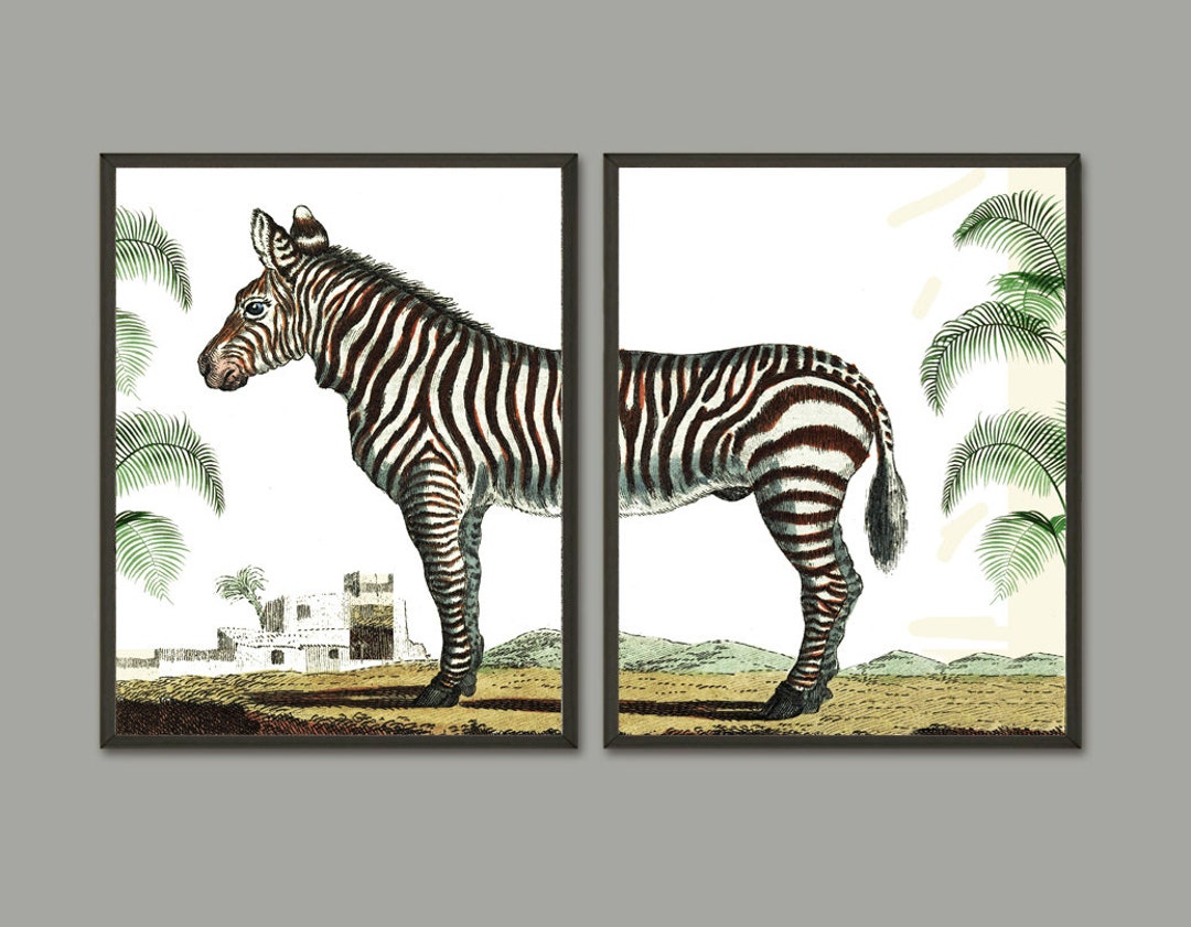 Zebra Print Set of 2 Beautiful Antique Safari Tropical Animal