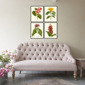 Botanical Print Set of 4 Wall Art Prints Beautiful Antique Tropical ...