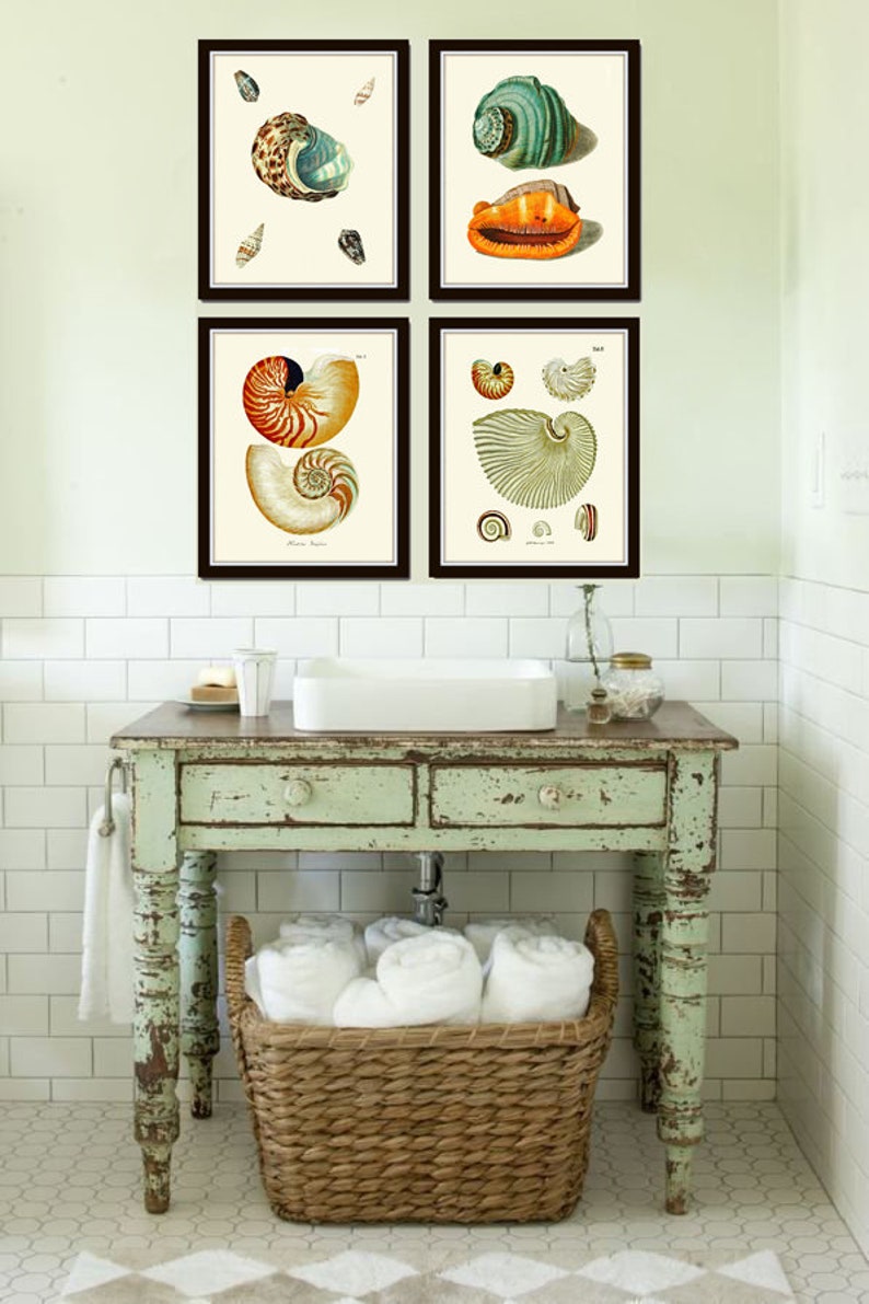 Sea Shell Print Set of 4 Prints Beautiful Antique Seashells | Etsy