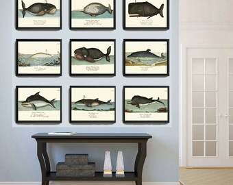 クジラアートプリント 3 4x6 5x7 8x10 11x14 美しいアンティーク 海洋