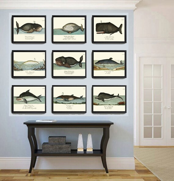 クジラアートプリント 3 4x6 5x7 8x10 11x14 美しいアンティーク 海洋