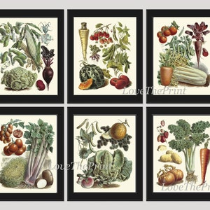 Vegetable Print Set of 6 Wall Art Beautiful Antique French Garden Colorful Plants Chart Illustration Kitchen Dining Room Home Decor Gallery