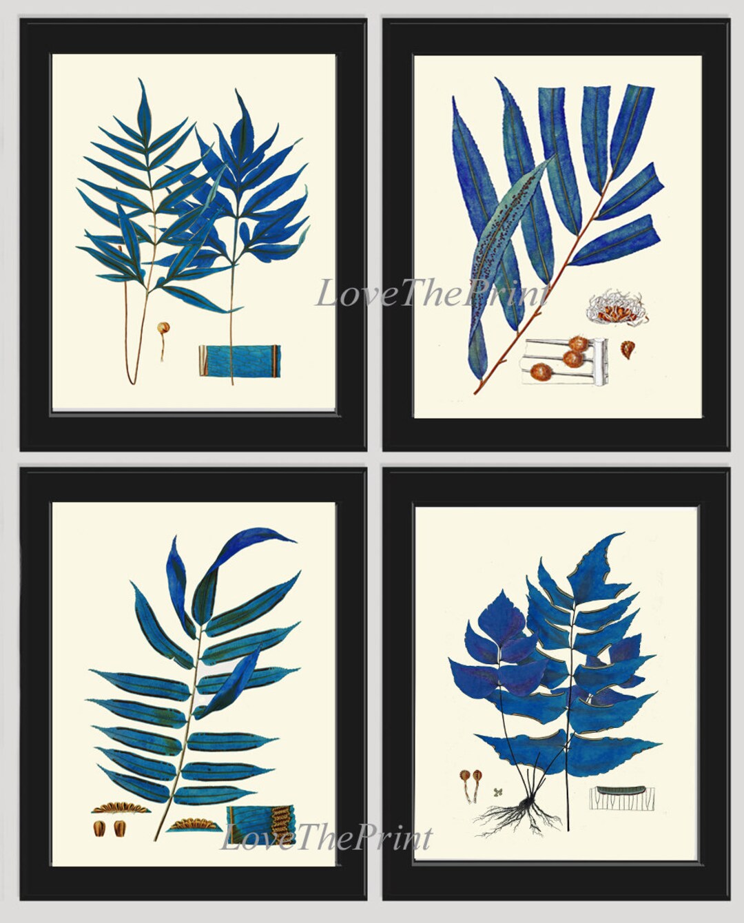 Blue Fern Botanical Wall Art Print Set of 4 Beautiful Ferns Green ...