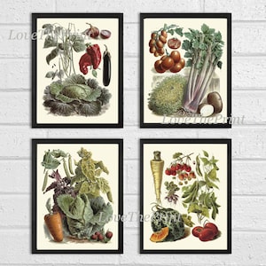 Vegetable Print Set of 4 Wall Art Beautiful Antique Garden Colorful Cabbage Tomato Potato Carrots Strawberries Kitchen Dining Room Decor